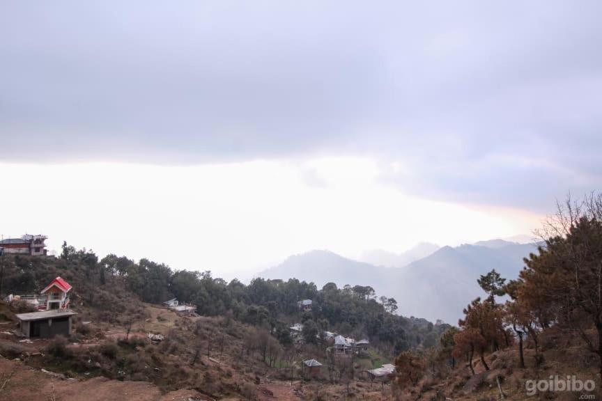 Dlx Stay In Naddi Dharamshala Bagian luar foto